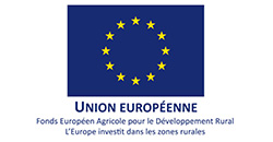 Logo UE FEDER